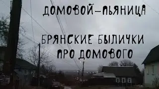 🥃 ДОМОВОЙ-ПЬЯНИЦА | Домовые | В. Д. Глебов | Брянские былички | 111–120