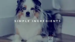 JustCBD CBD Pet Treats - CBD Oil for Cats and Dogs
