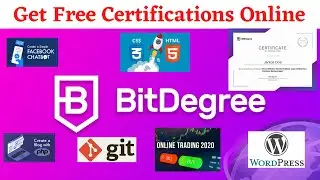 BitDegree Free Certification Courses | Best Free Certificate Courses