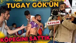 Tugay Gök'ün Köpeği Maraz'ı Sattık 