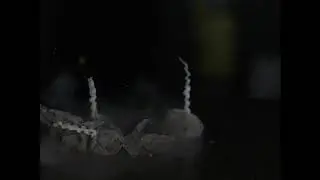 Snappy Fireworks