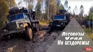 Лесовозы Урал,  на бездорожье.
