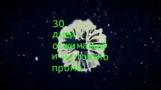 30 дней оджиманий и не только промо