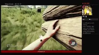 Diffusion PS4 en direct de fitimi04-67