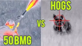 50 cal hog hunting - Thermal Drone hunting