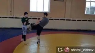 Шамиль Далаев вечерняя тренировка
