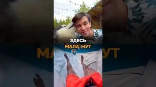 Здесь Мала Мут, зато много..