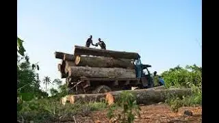 O MA ṢE O, AWỌN ONIṢOWO IGI GẸDU KU SINU ODO ỌSA NIPINLẸ OGUN