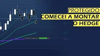 Abri hedge da carteira contra o índice! 😮