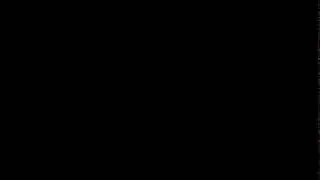 5D Leaks 43