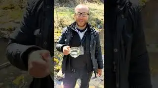 Приглашение в туры по Горному Алтаю