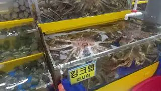 킹크랩