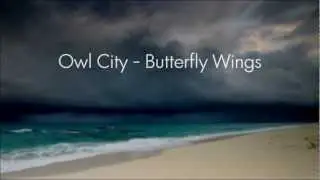 Owl City - Butterfly Wings [HD Lyrics + Description]