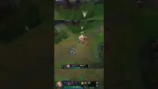 eve top 