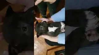 Милая детская мордашка😚🥰🤗