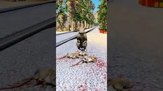 Dogs teach us love in its purest form | Part 180 |🥺