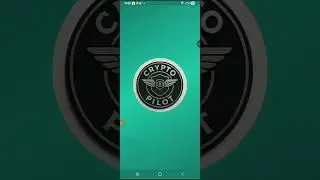 Eazy bot and crypto pilot bot (chose one)
