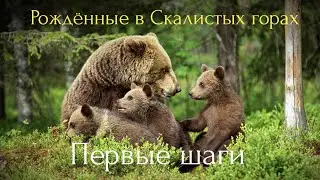 Рождённые в Скалистых горах.Первые шаги.