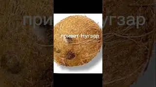 херейд и кокос