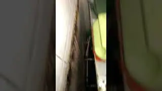 Дезинсекция