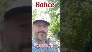 9 Eylül 2024