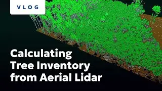 Calculating Tree Inventory from Aerial Lidar