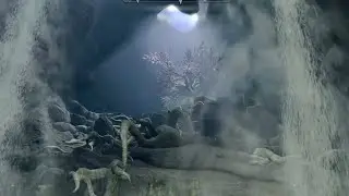 Skyrim Reviving the ElderGleam Tree in Whiterun the nice way 