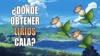 Genshin Impact - Localizaciones para conseguir MUCHOS Lirios cala (farmeo)