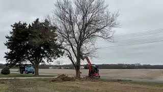 057-4 KUBOTA pushing over last tree of the day