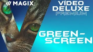 Green screen mit Cromakey bearbeiten - MAGIX VIDEO DELUXE 2020 - Deutsch Tutorial Anfänger Guide