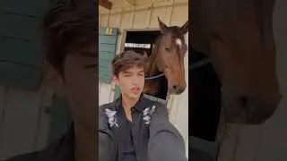HORSE TRIES TO BITE ME.. 