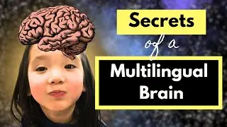 Top 5 Ways Being Bilingual/Trilingual Transforms Your Brain (And Why It's Not Too Late to Start!)