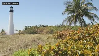 Outrage continues amid proposal to bring pickleball courts to FL state parks | Facing South Florida