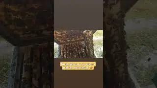 Jest czym oko nacieszyć 😉 