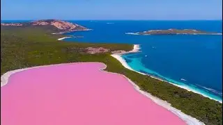 История розовой любви. В мире тайн.