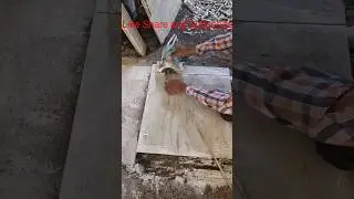 Stone Cutting Machine|आपकी मशीन चलते चलते या  झटके देकर चलने लग जाए तो मशीन के Bursh बदल दीजिए  ||