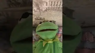 Почему фрогги злой 