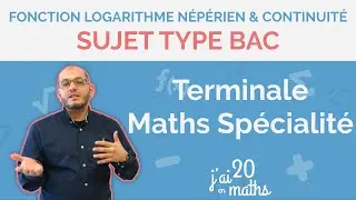 Baccalaureate-type subject - Natural logarithm function and continuity - Terminale Maths Spécialité