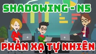 Hội thoại Tiếng Nhật N5 - Phản xạ Tiếng Nhật tự nhiên