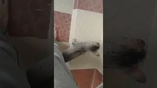 Unknown cat demands treats and pets