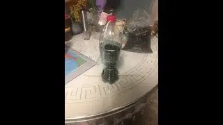 Кормушка для птиц из бутылки