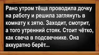 Тёща заглянула в спальню к зятю.. Анекдоты! Юмор! Позитив!