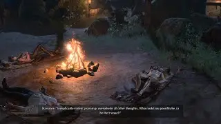 Baldur's Gate 3 First Night