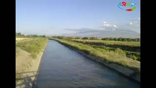 Cəlilabadda vəzifəli şəxslər müğənnini qətlə yetirib