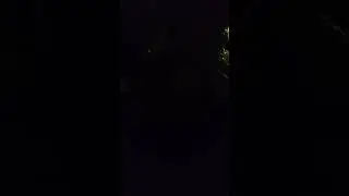 Застолье в селе Одесской области