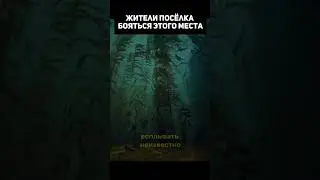 Жители поселка бояться этого места