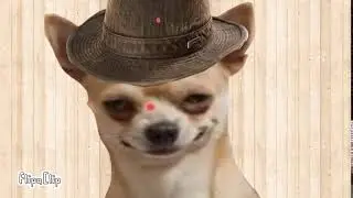 Анимация собаки ;-;