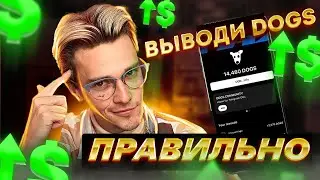 ⚠️ КАК ВЫВЕСТИ DOGS ПРАВИЛЬНО. Как заклеймить ДОГС и вывести на биржу в приложение