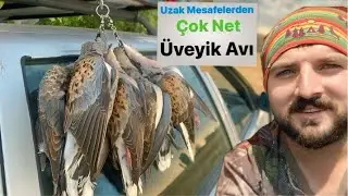 EN İYİ ÜVEYİK AVI / GOPRO11 BLACK / ŞHOTKAM / DOVEHUNT