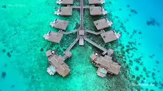 Bora Bora Lagoon | Tropical Sea Resorts | Motu Tane Private Island | French Polynesia 🇵🇫 | Part 17
